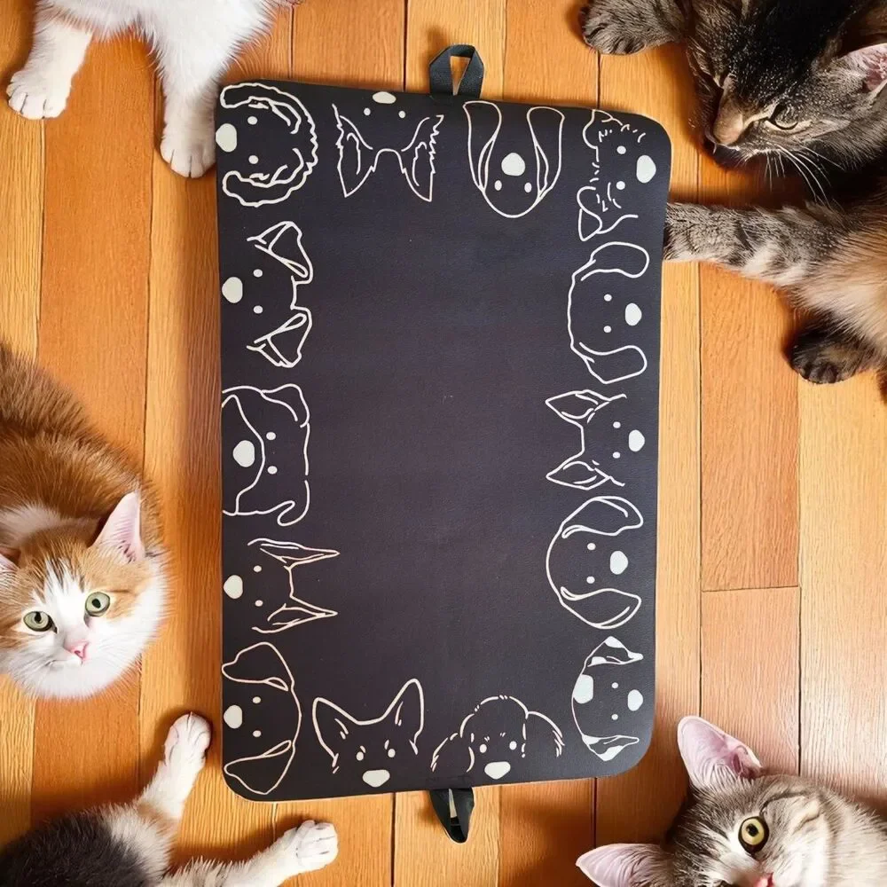 Pet Feeding Mat, Absorbent Dog and Cat Mat (13.5